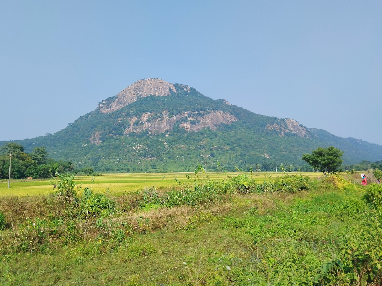 Ajodhya Hills