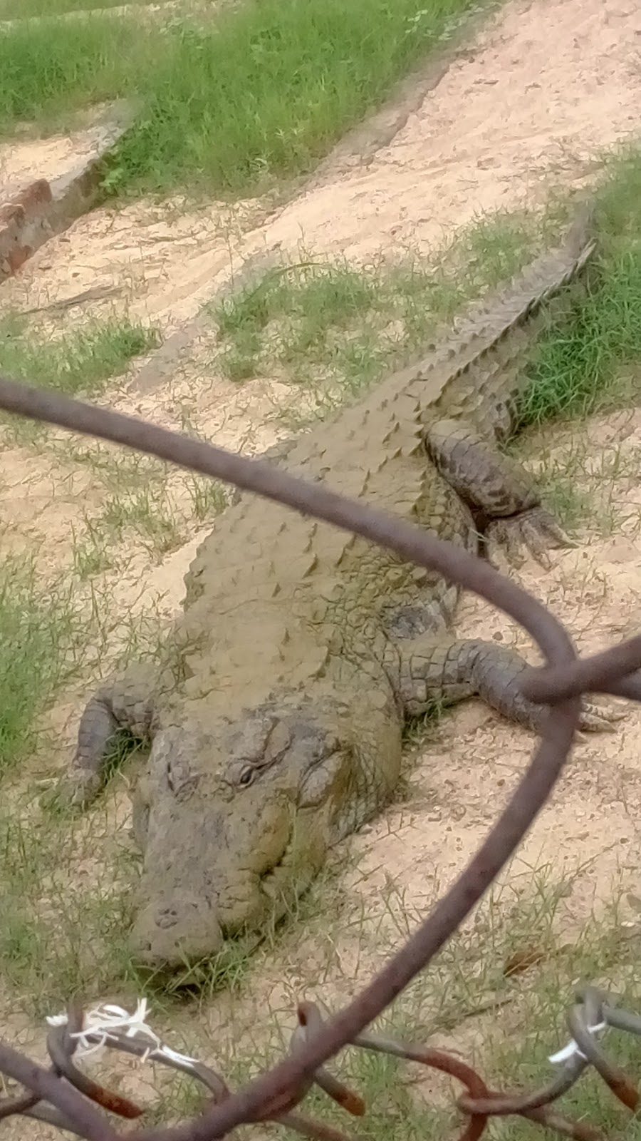 Janjgir-Champa