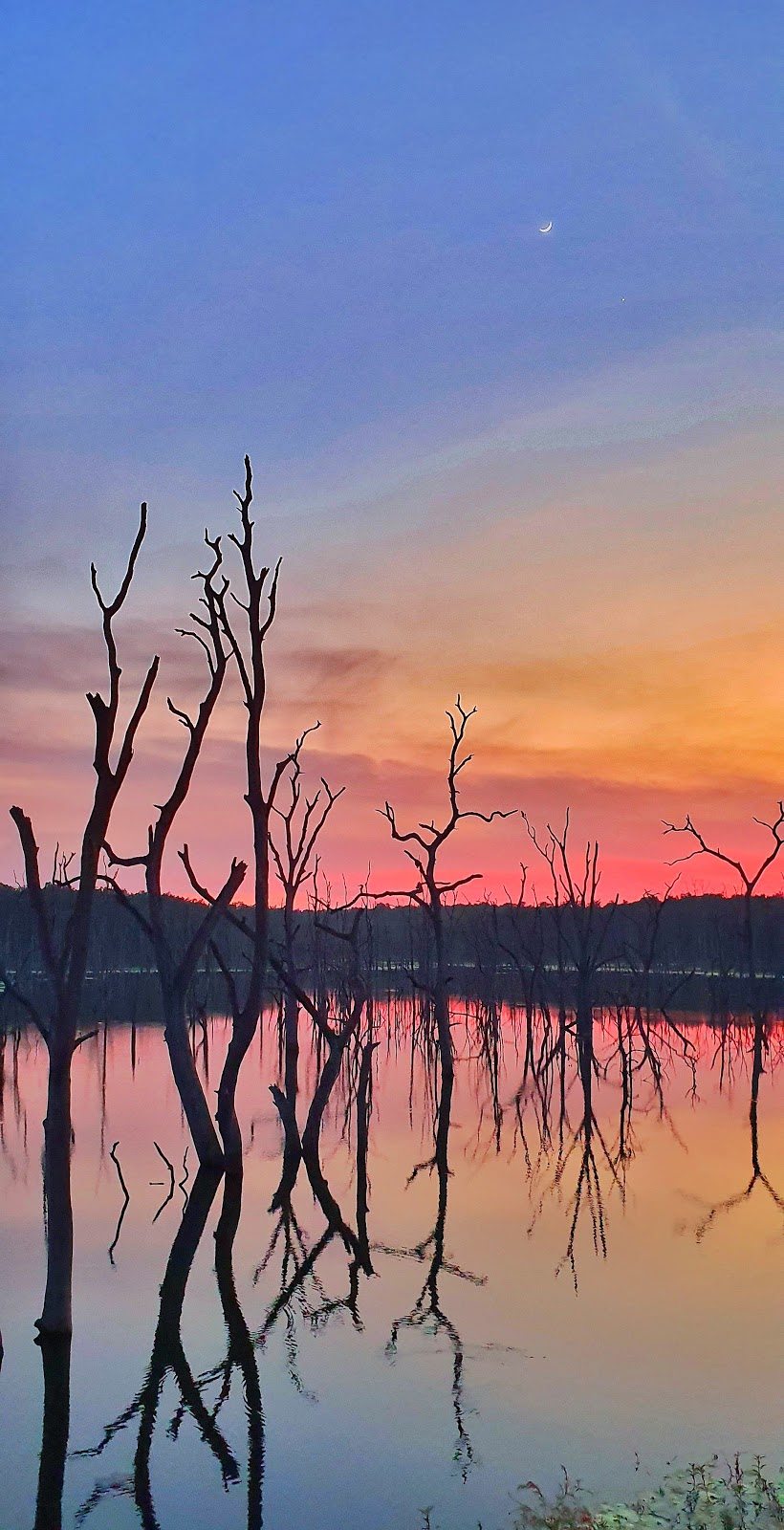 Barnawapara Wildlife Sanctuary