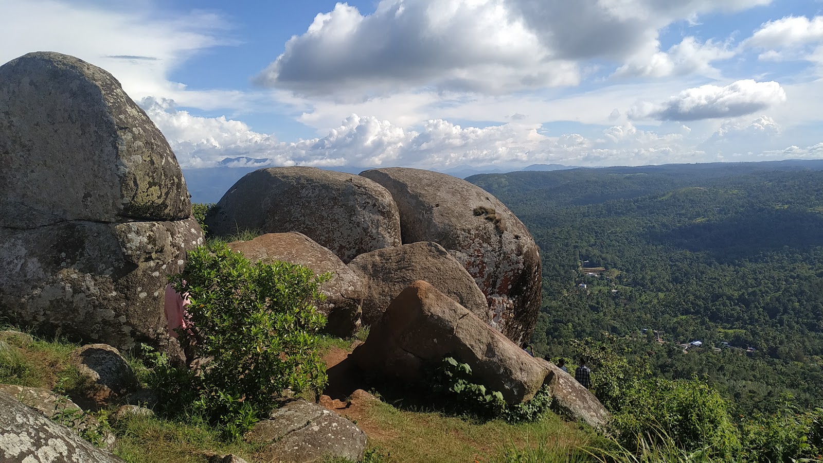 Tortoise Rock
