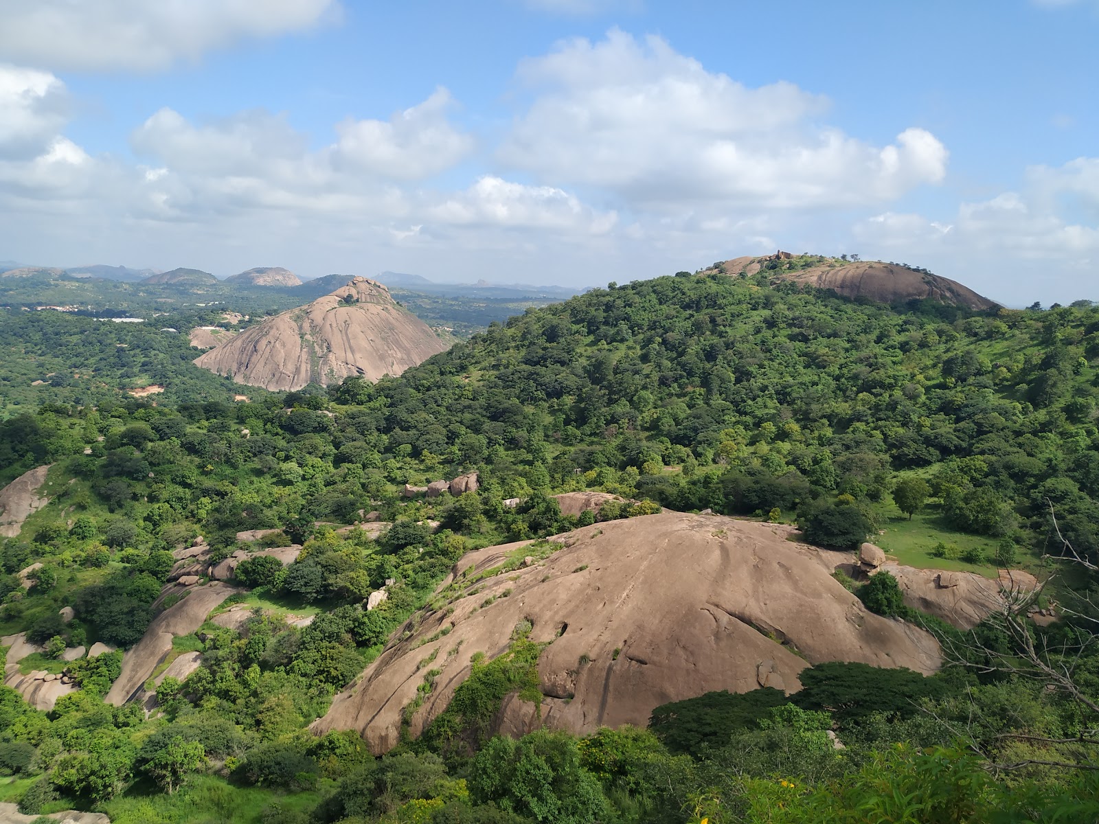 Ramadevarabetta Vulture Sanctuary Ramanagara district