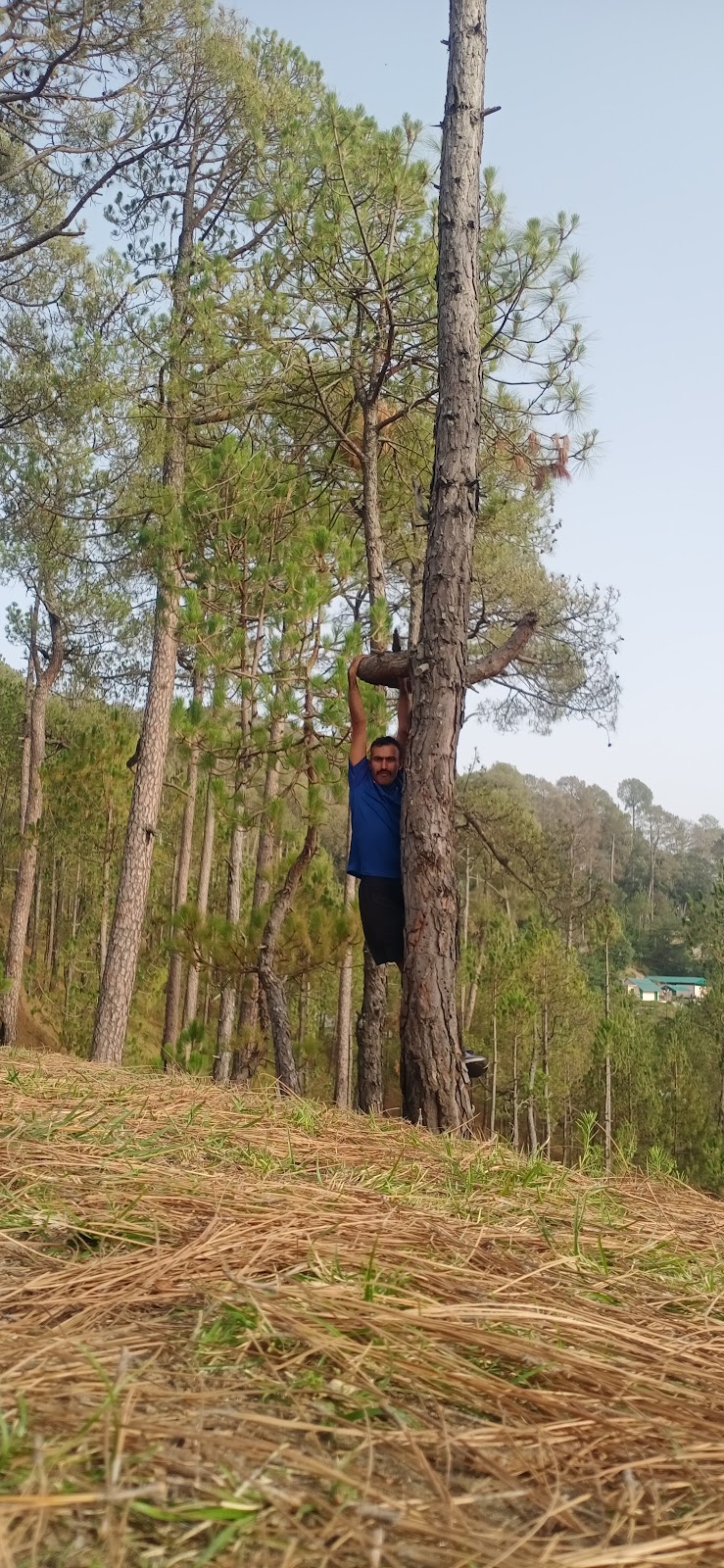 Sunset point ranikhet