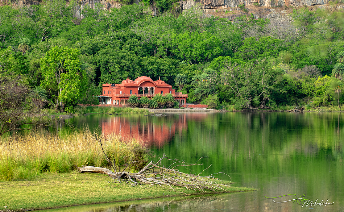 Jogi Mahal