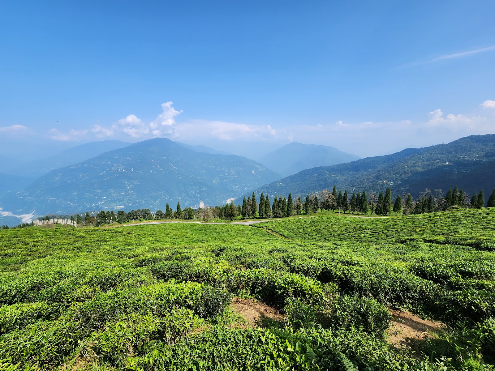 Temi tea garden