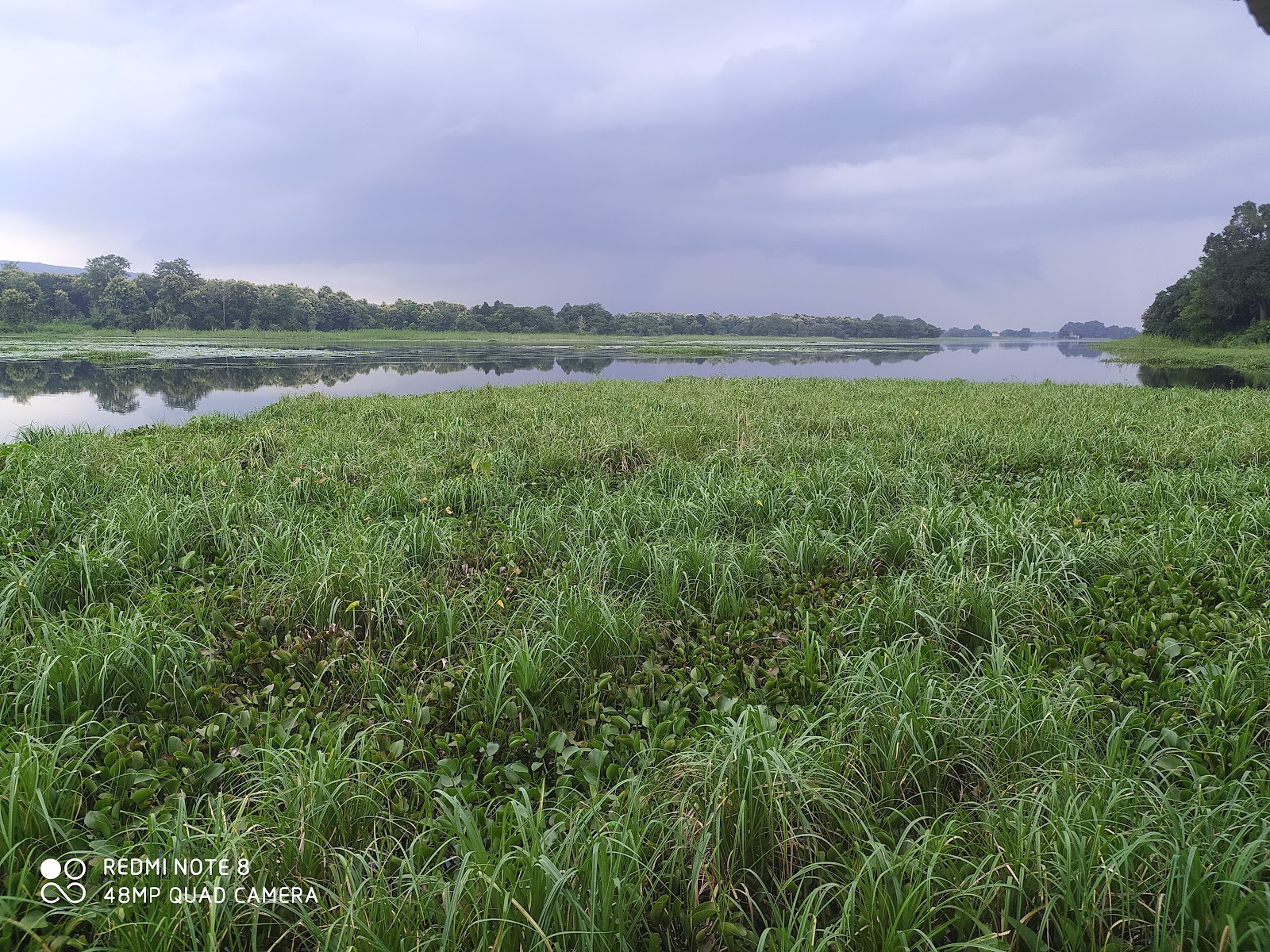 rewa