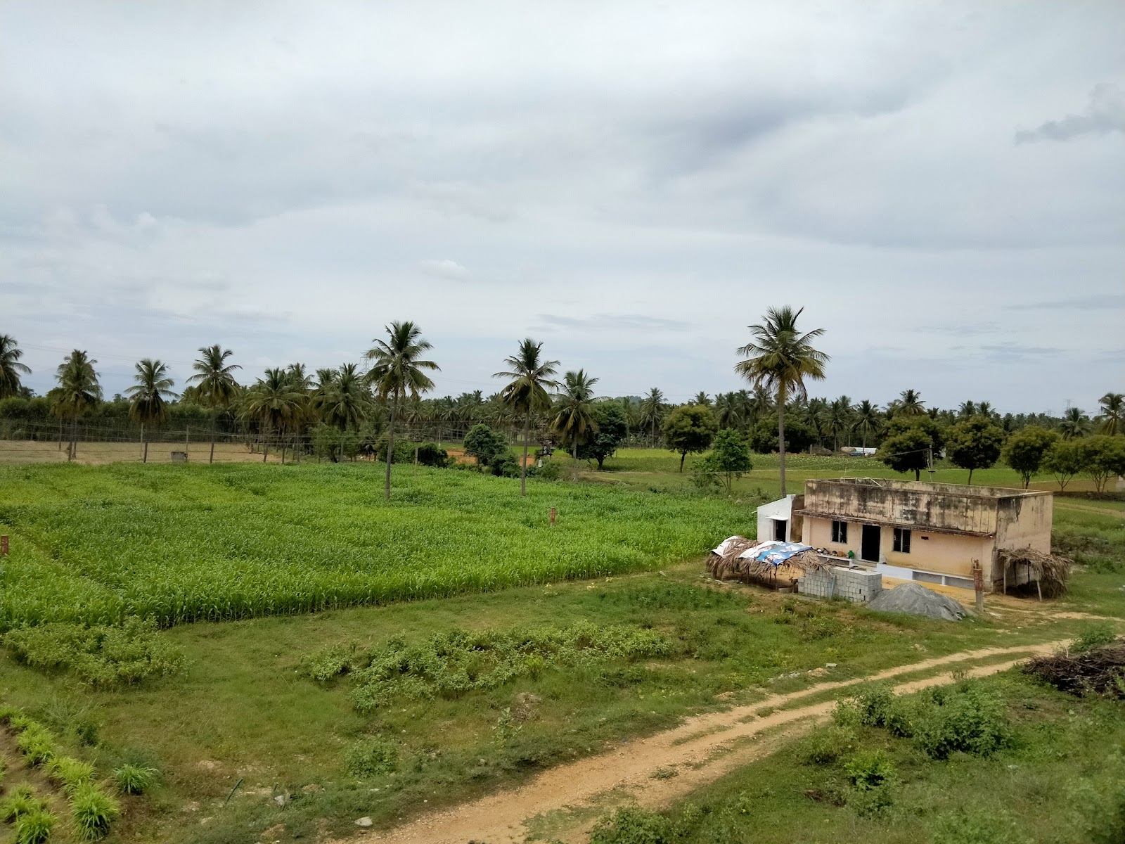 Sangagiri