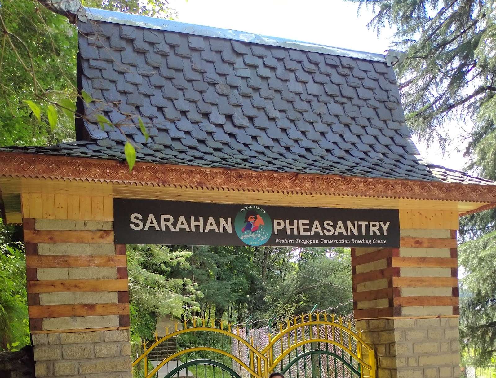 Sarahan Pheasantry