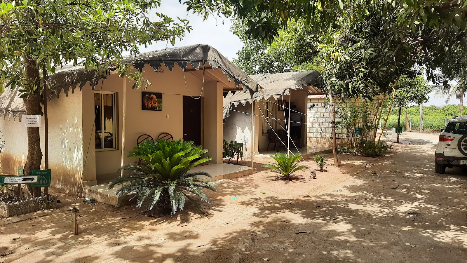 Gir Jungle Lodge