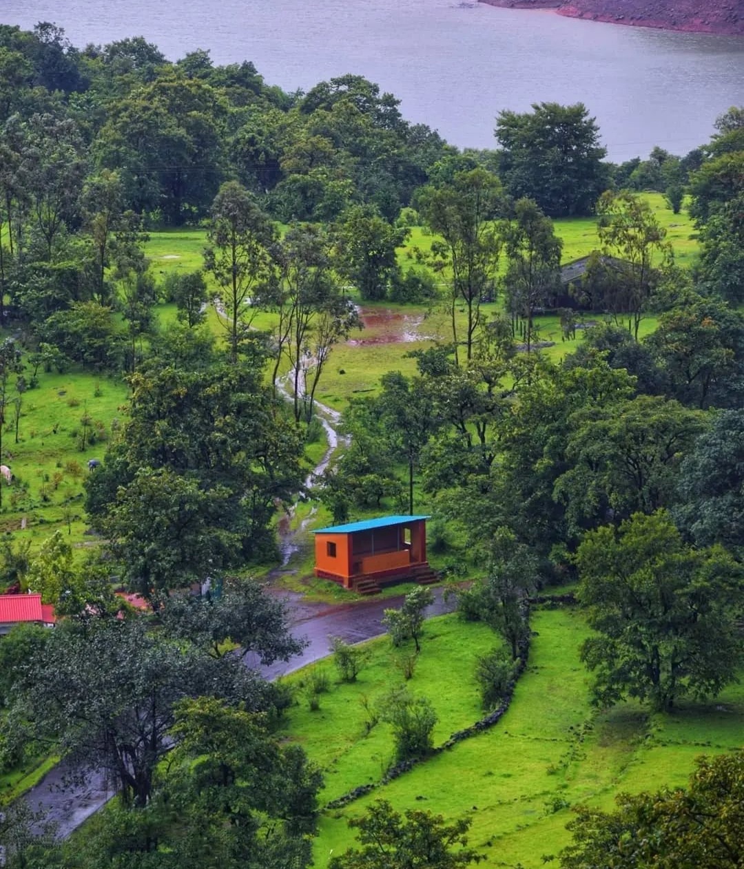 Koyananagar