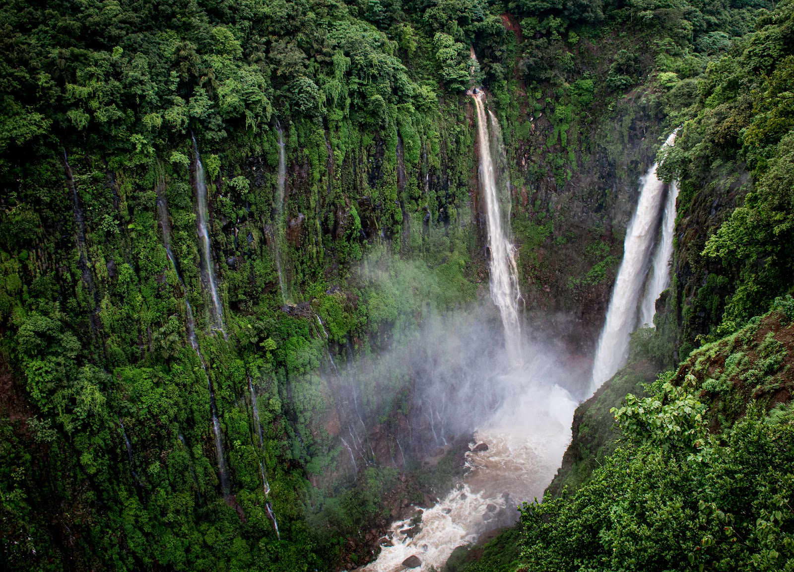Thoseghar Waterfall (संयुक्त वनव्यवस्थापन समिती, ठोसेघर,सातारा)