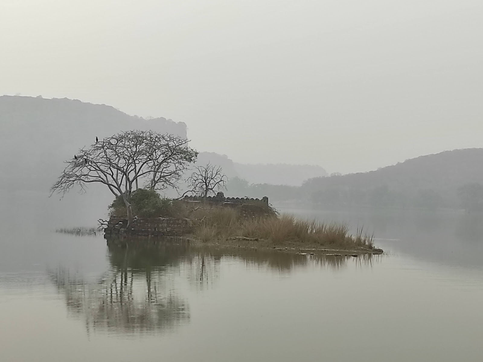 Padma Talao