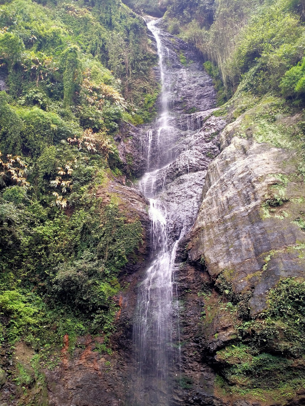 Chadwick Falls