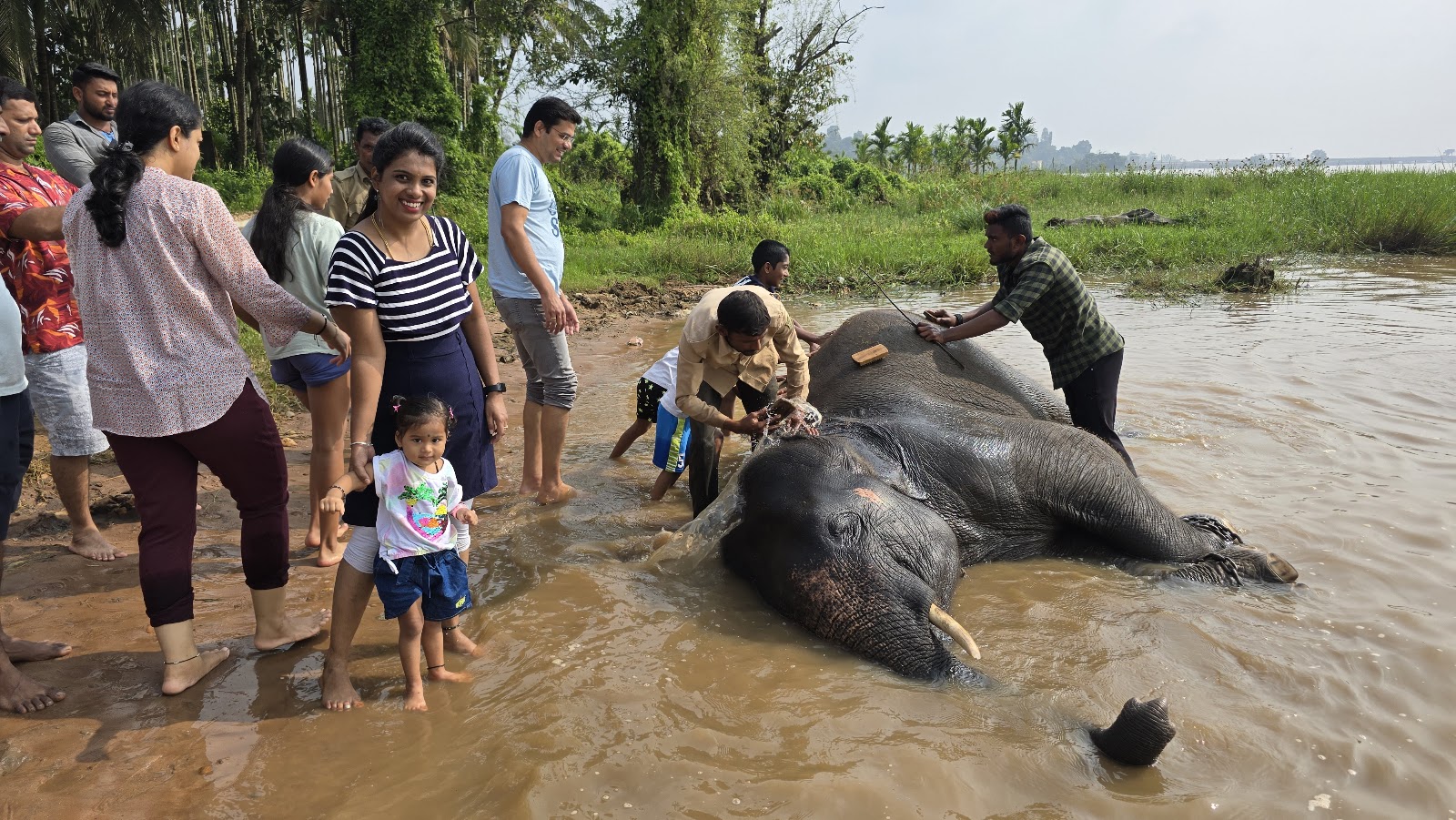 Sakrebyle Elephant Camp