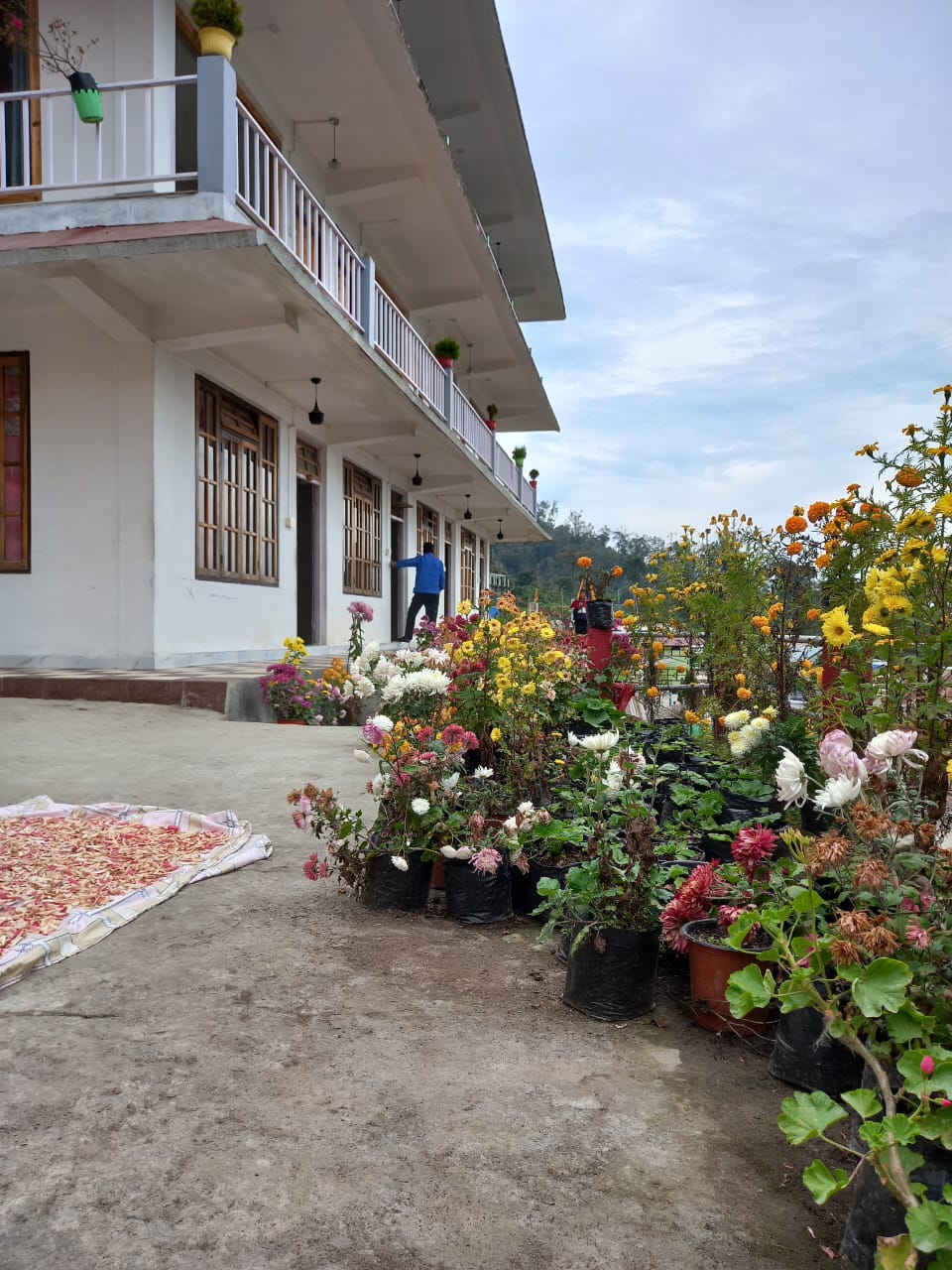 ARCHITA'S HOMESTAY SILLERY GAON