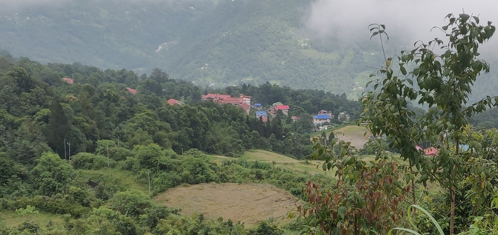 Pedong