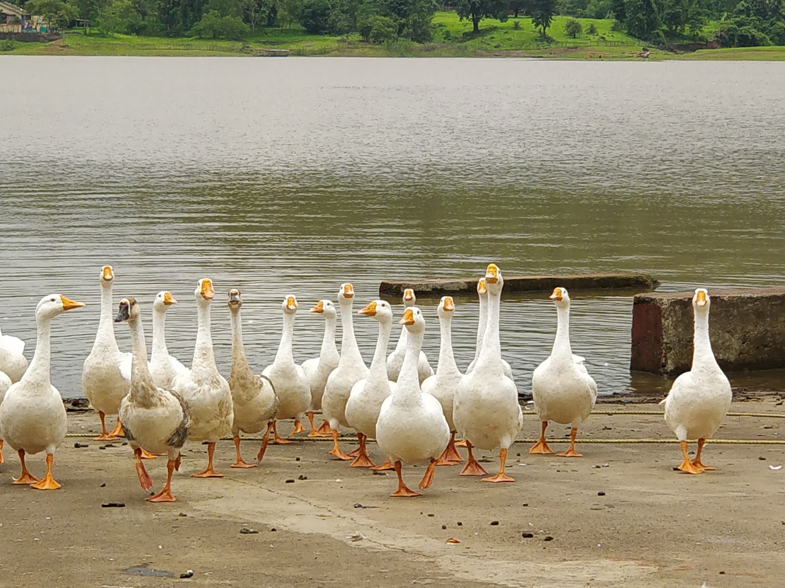 silvassa