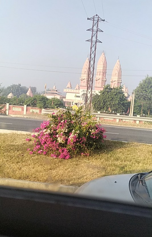 Hisar