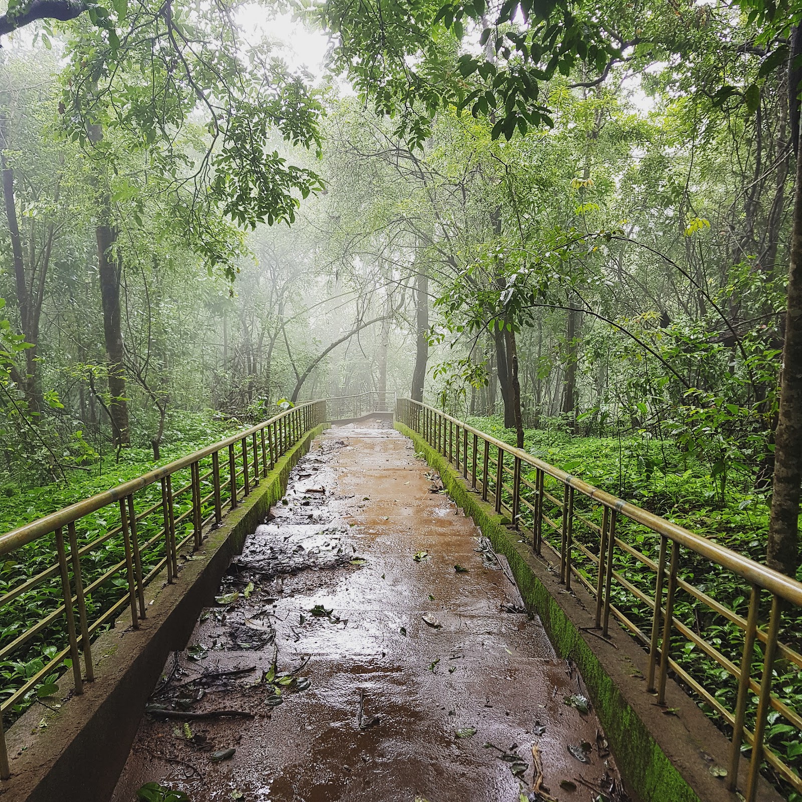 Sirsi, Karnataka, India