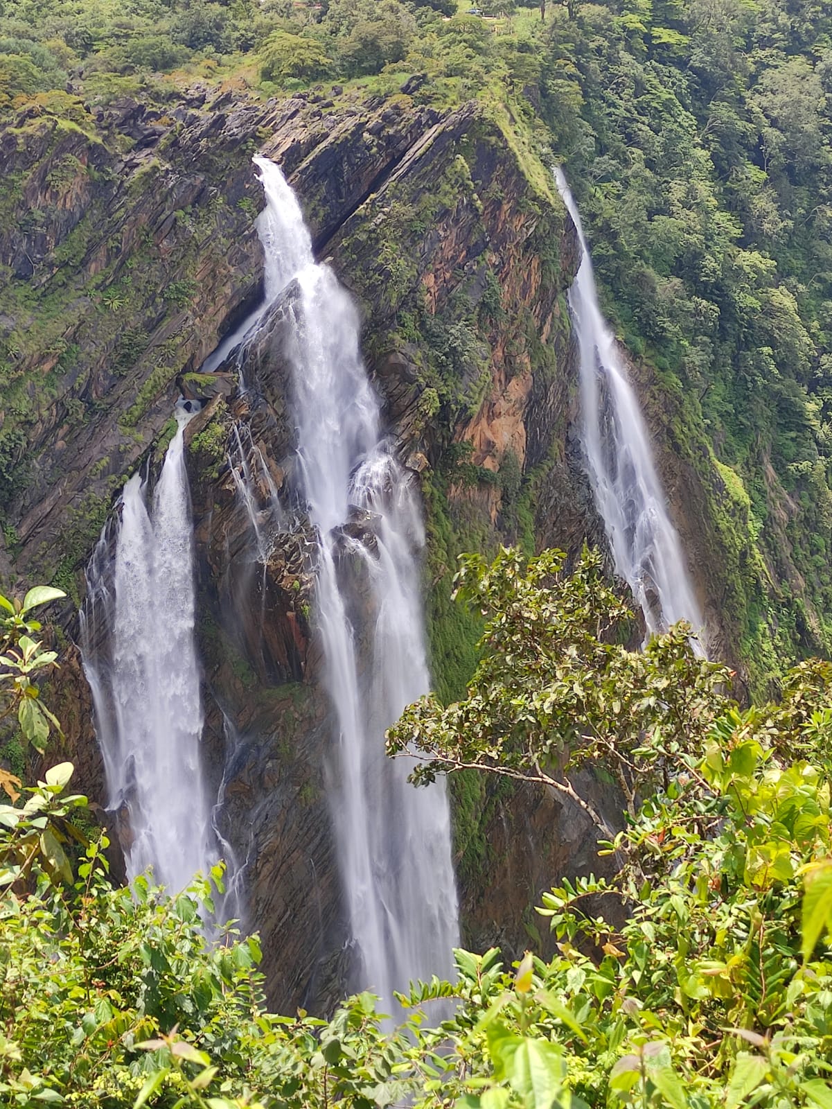 Jog Falls