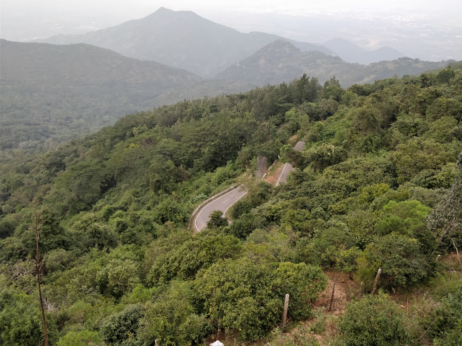 Sirumalai Reserved Forests