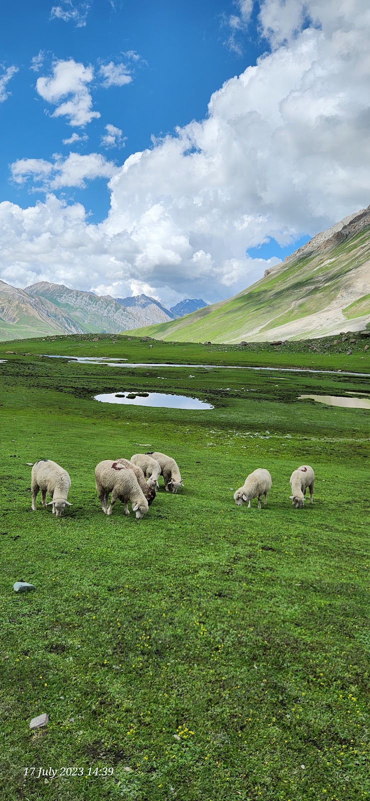 Vishansar Lake