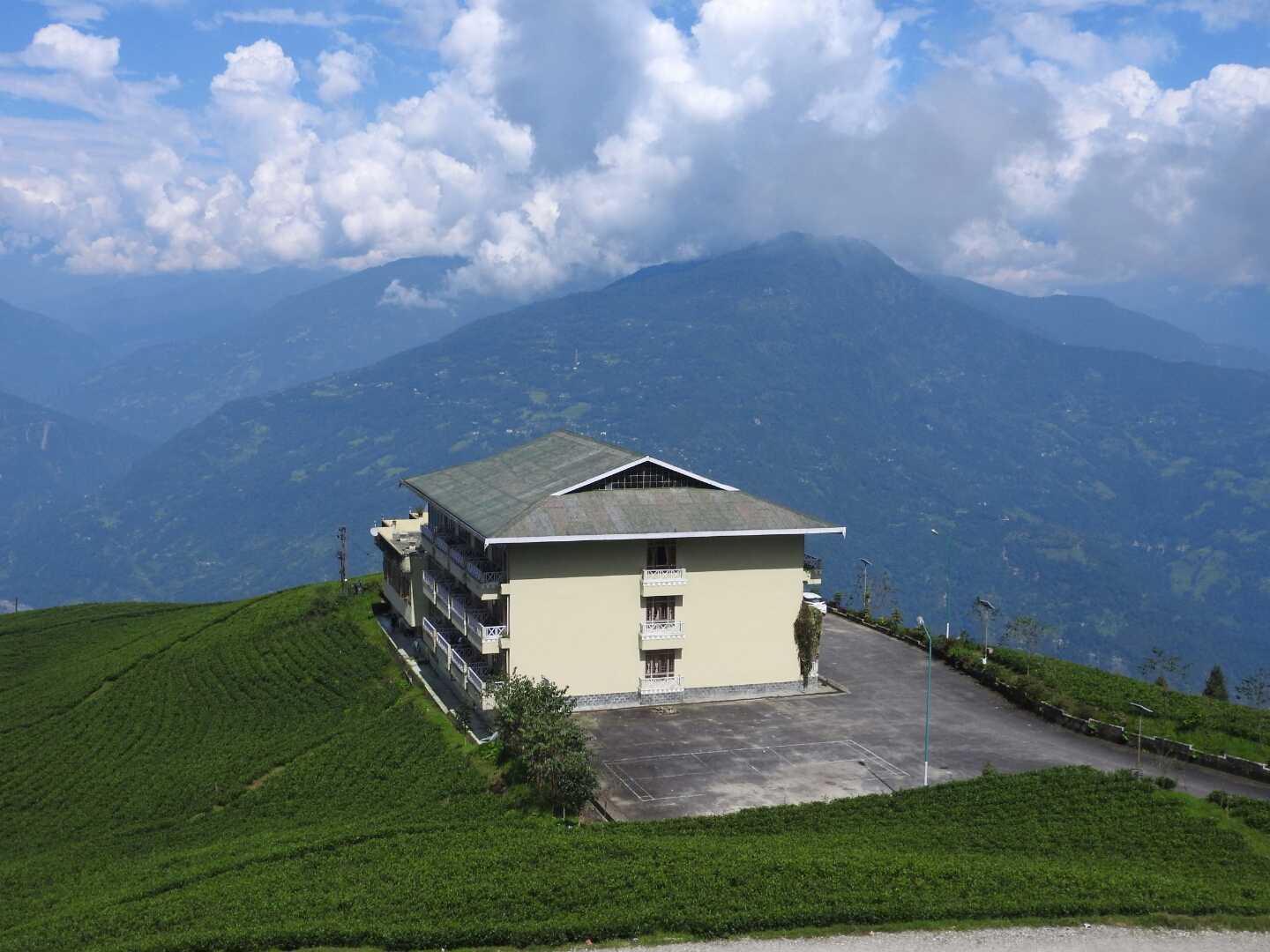 Temi Tea Garden