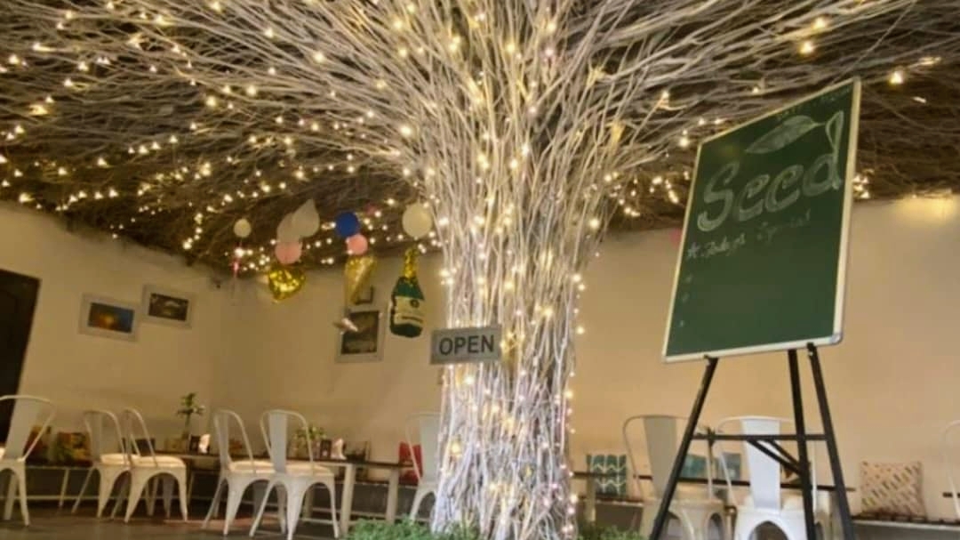 Seed Cafe