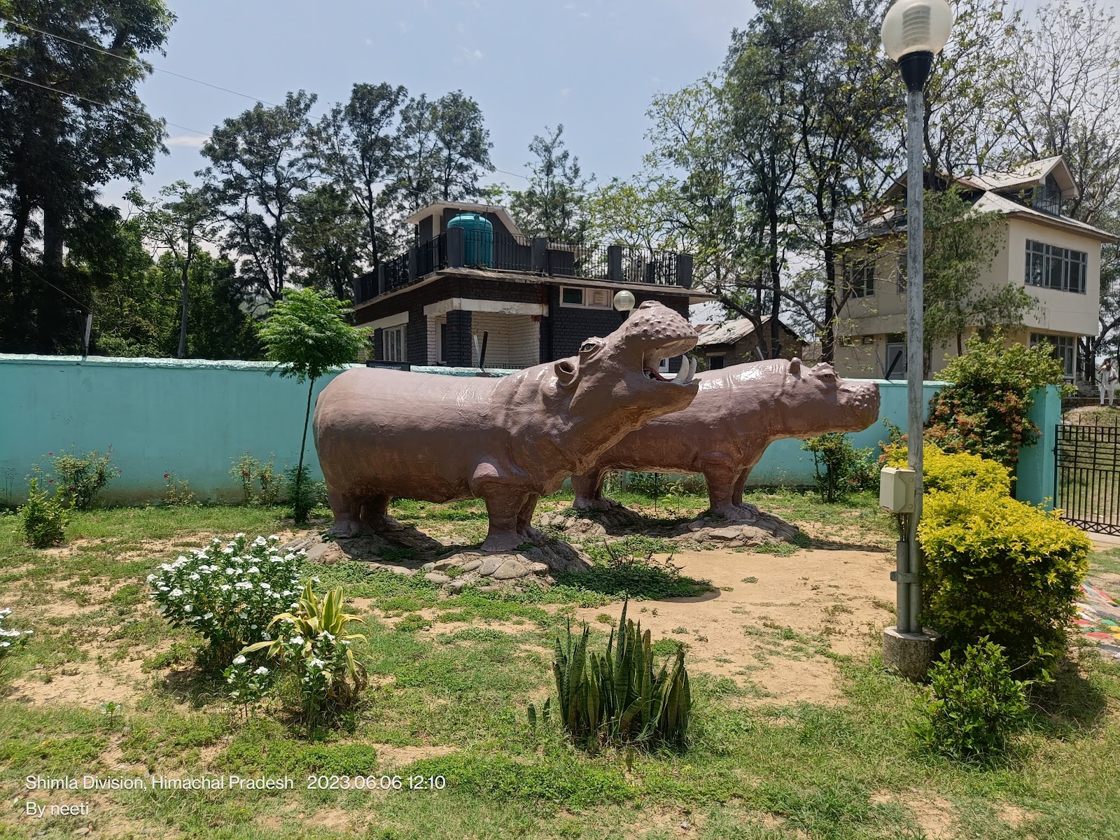 sundernagar