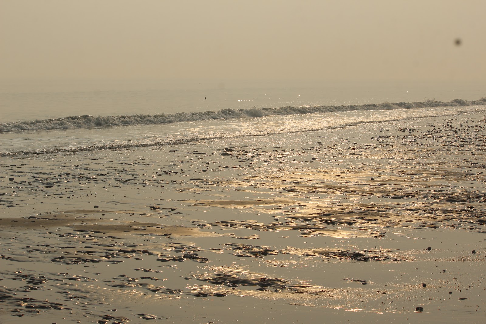 Sea Beach Road