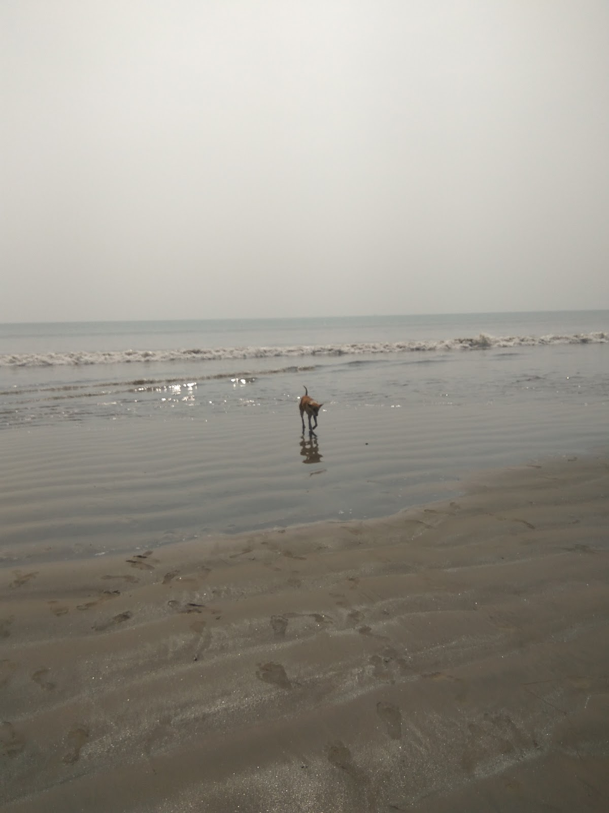 চাঁদপুর সমুদ্রতট Chandpur Sea Beach