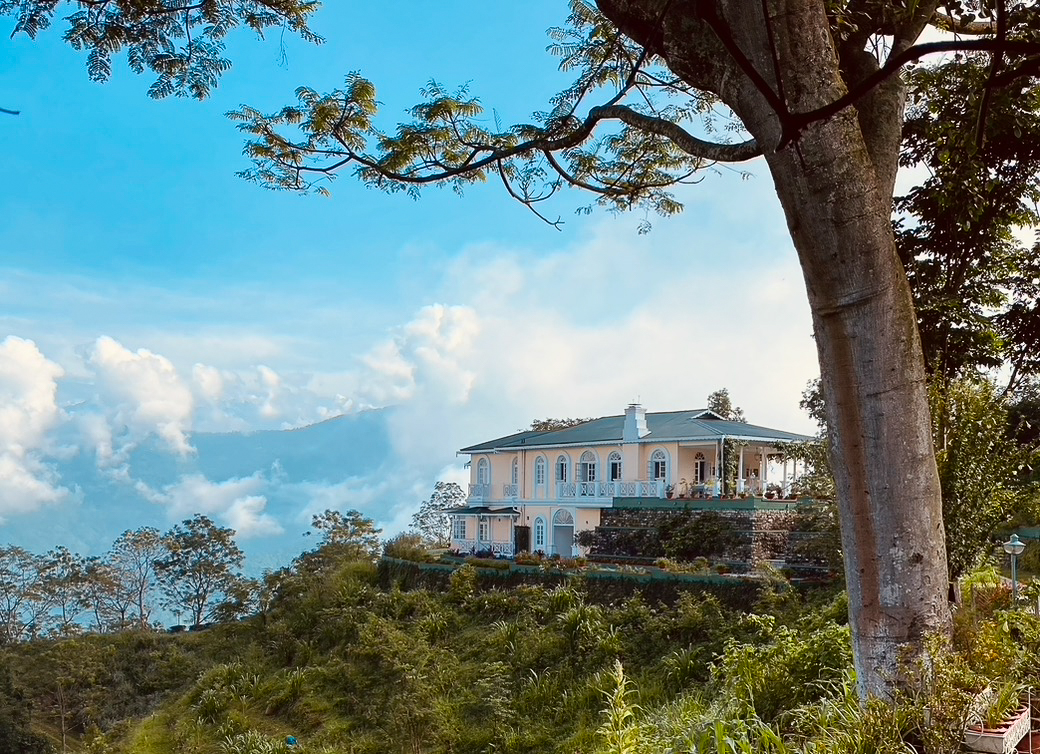 Glenburn Tea Estate