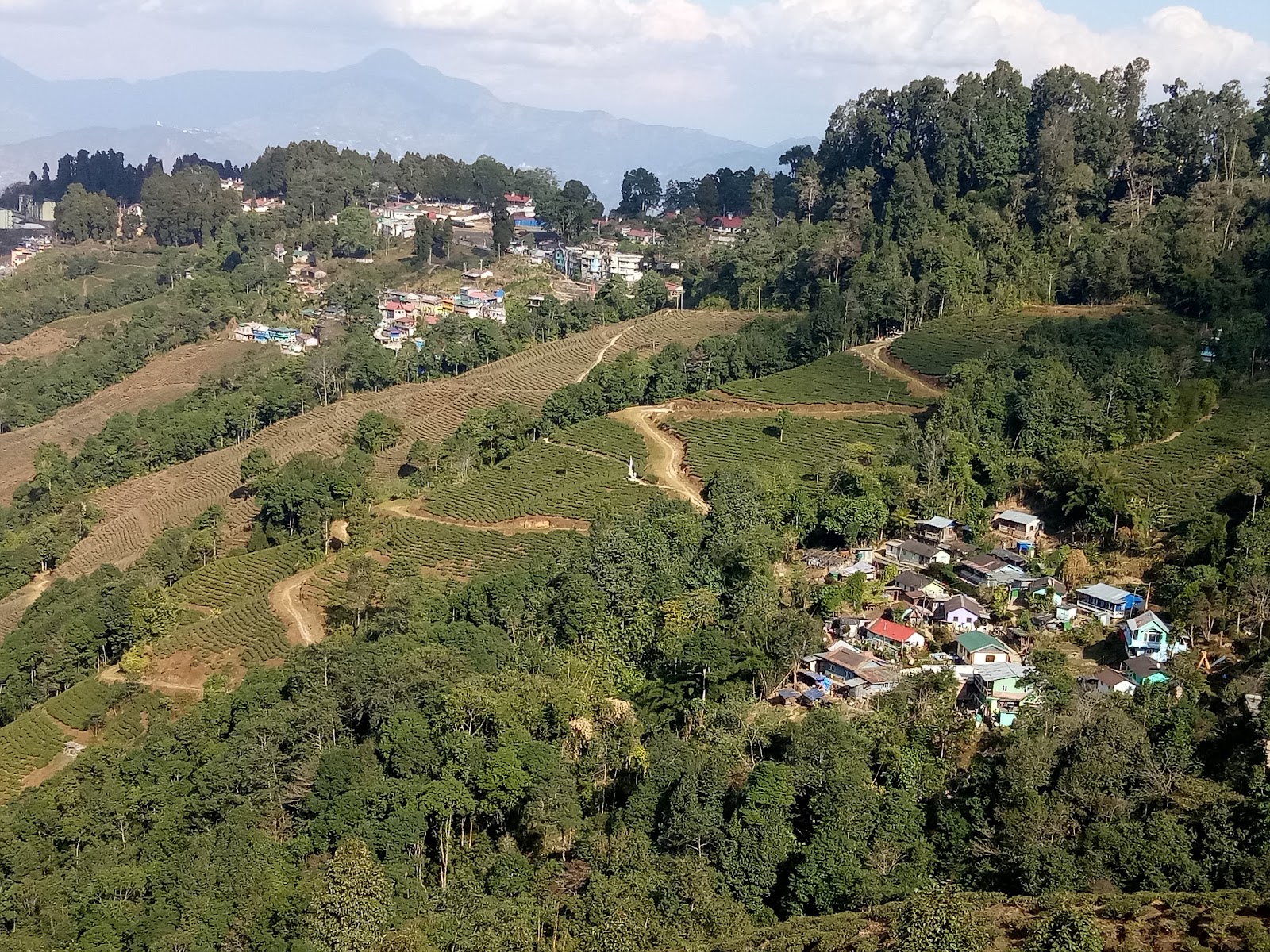 Rungneet Tea Garden