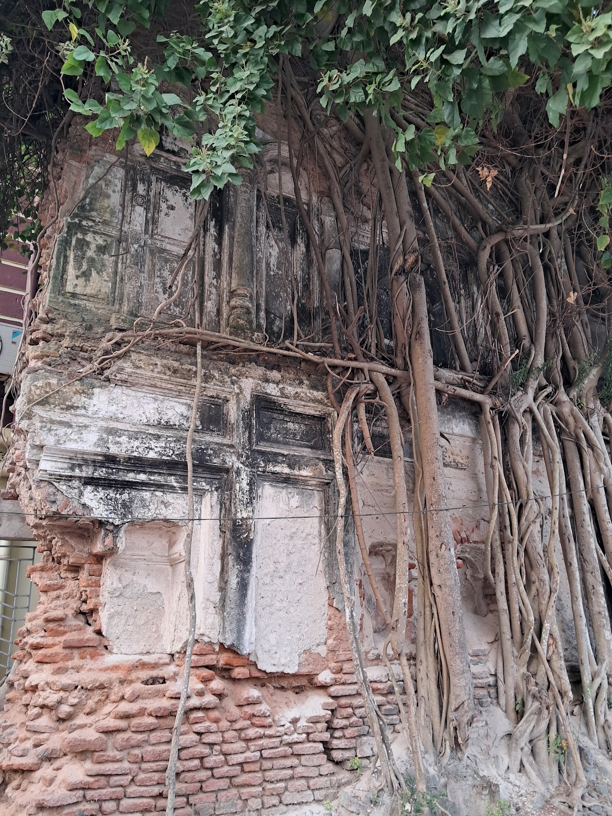 Taki Rajbari Ruins