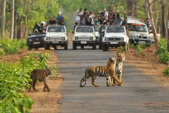 Mudumalai