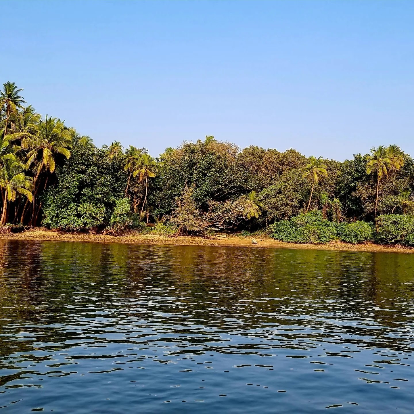 Karli River