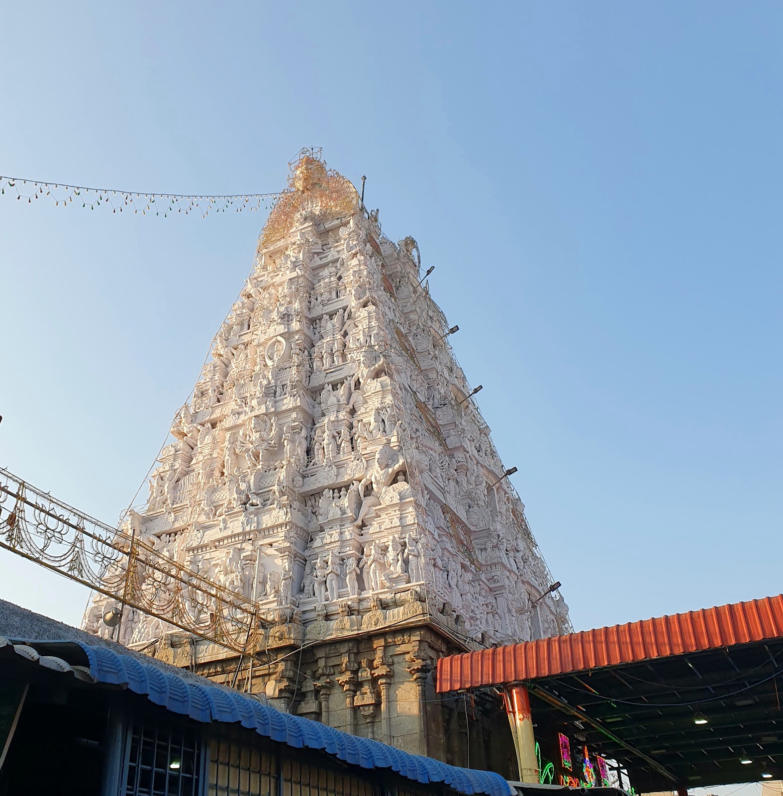 Tiruchanur Sri Padmavati Ammavaari Temple