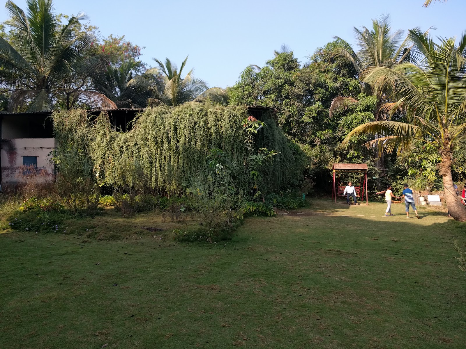 Ovalekar Wadi Butterfly Garden