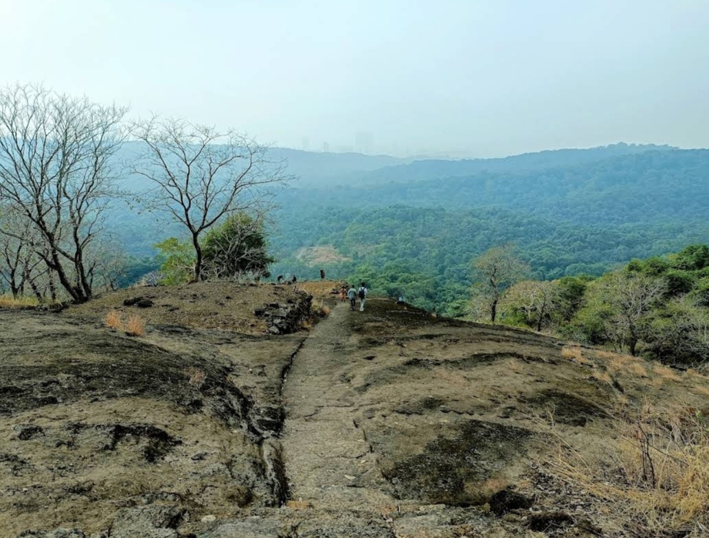 Sanjay Gandhi National Park