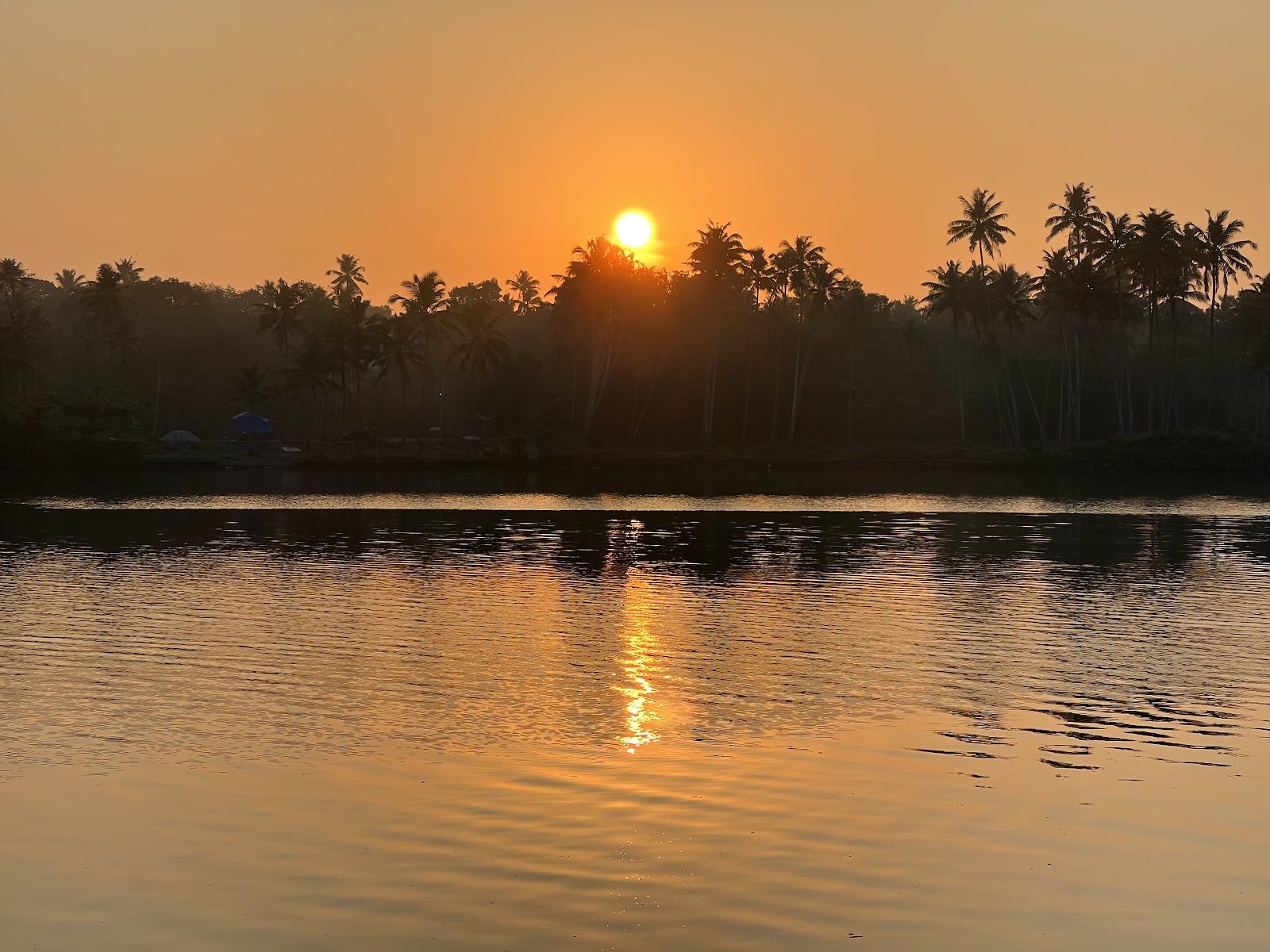 Ayushkamy Ayurveda and Yoga Retreat
