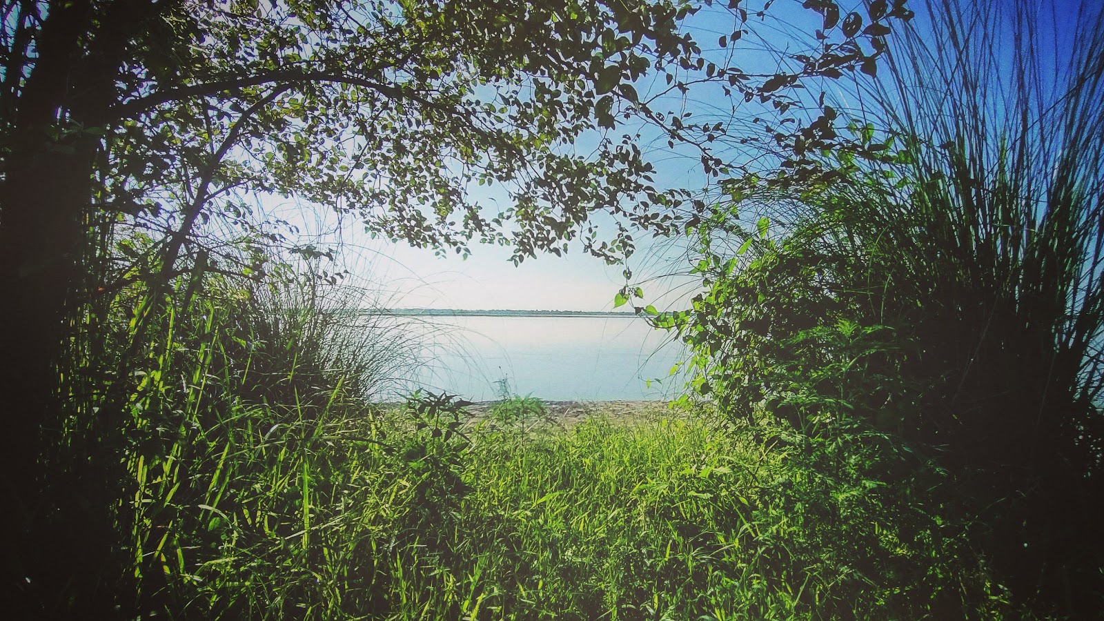 Baghjan Gaon