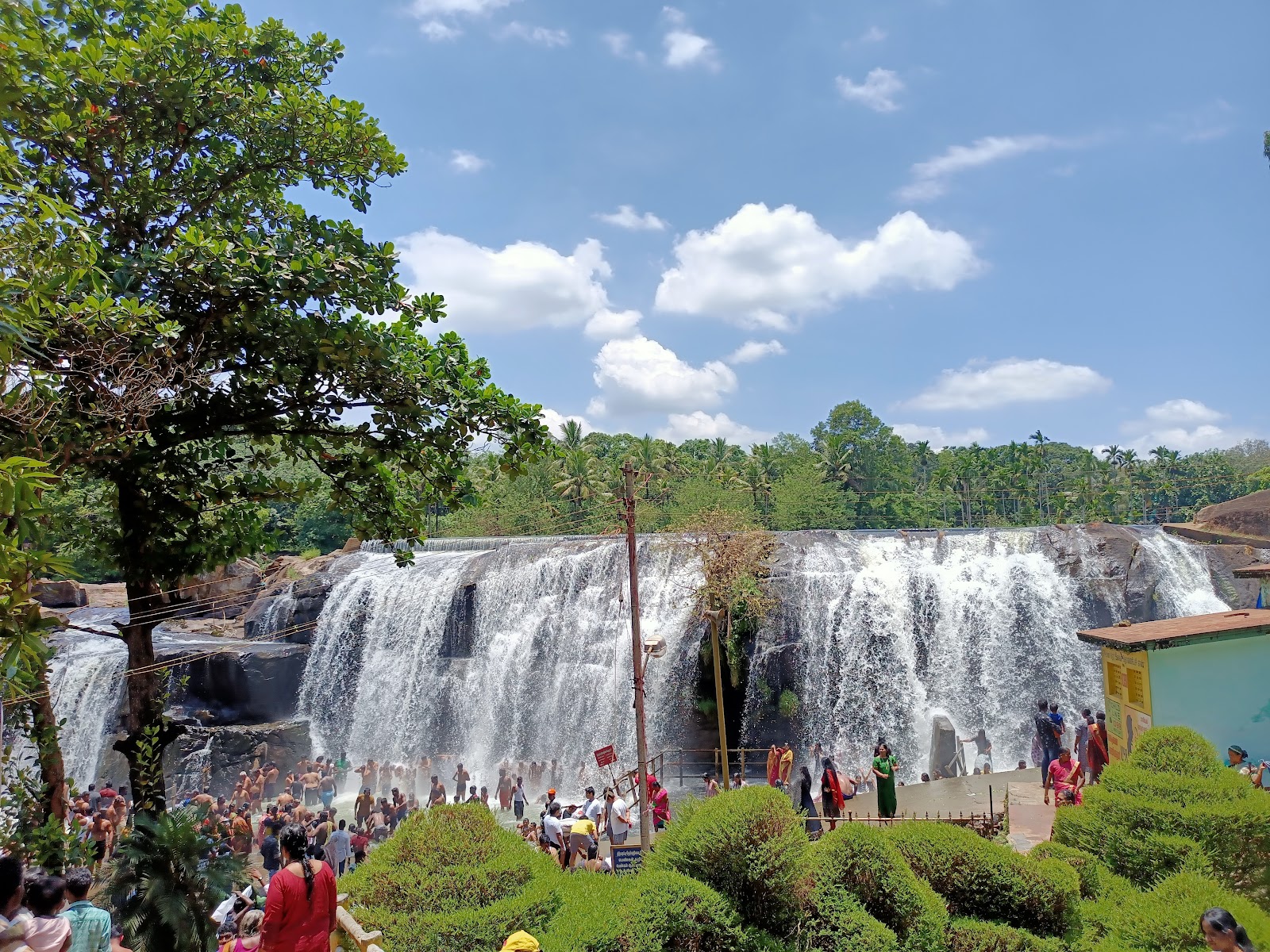 Thiruparappu Waterfalls