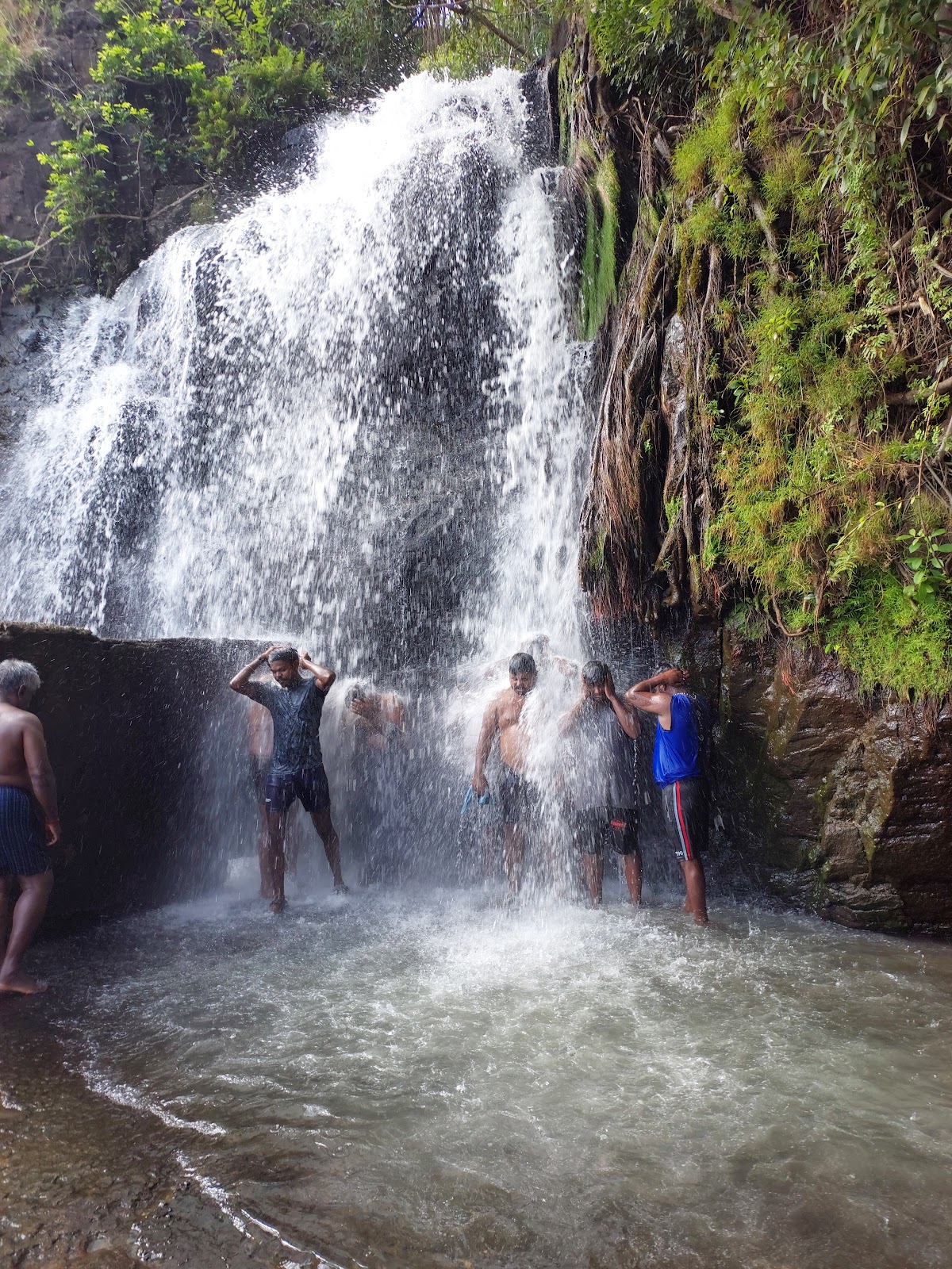 Agasthiyar Falls