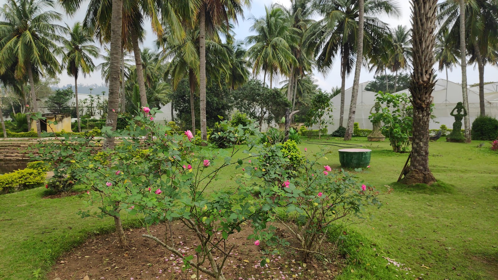 Lord Balaji Flower Garden