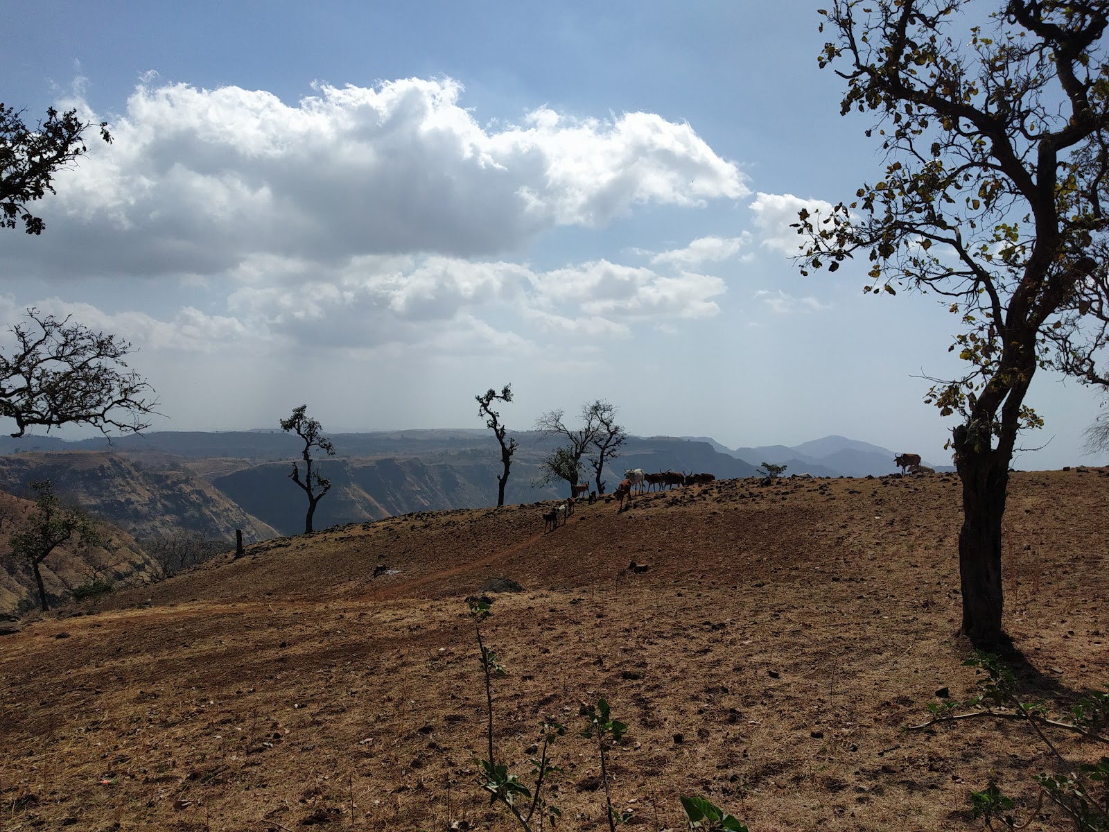 Aawashabari Point