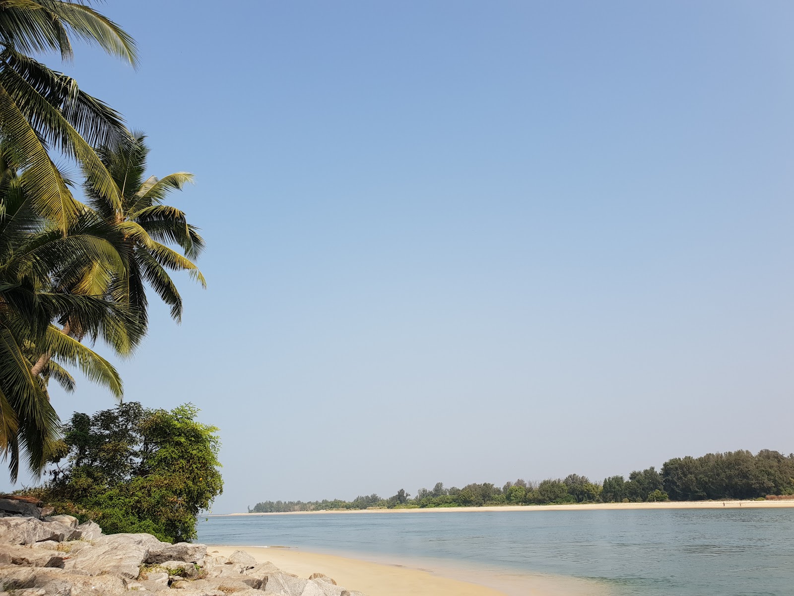 Delta Beach Backwater