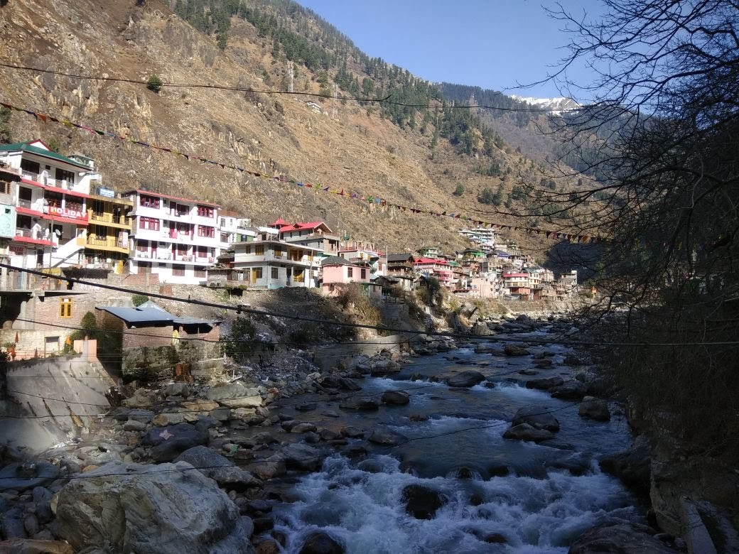 Auli