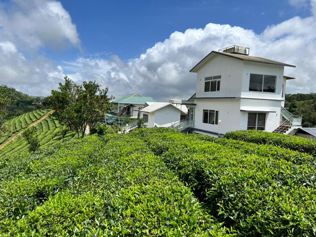 Cliff Inn