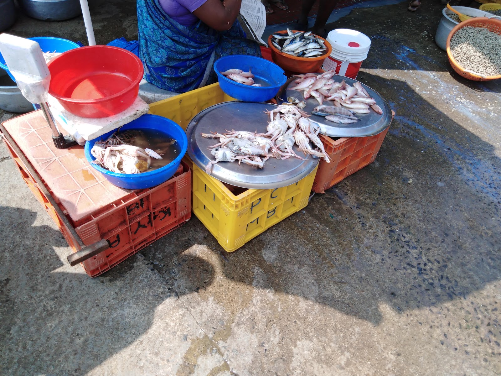 Vaikom Fish Market