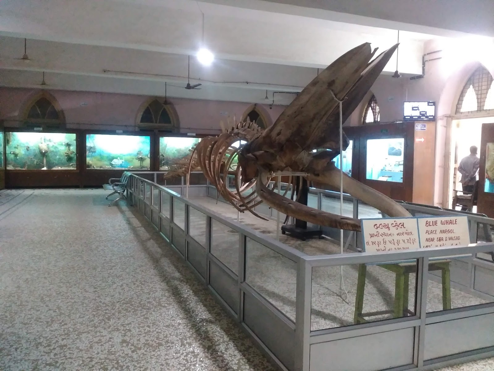 Lady Wilson Museum