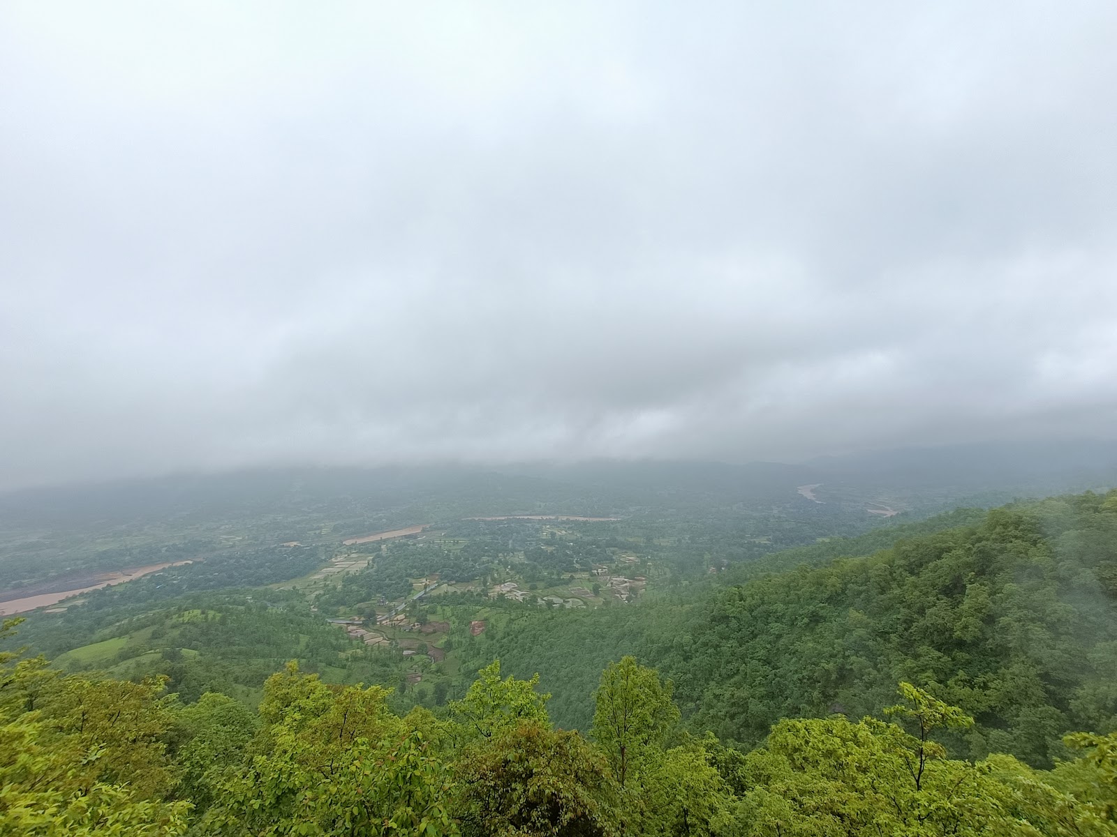 Wilson Hills